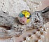 Bague Boule de Cristal mont&eacute;e avec fleurs en forme de cloche verre,  velours floqu&eacute; avec bague laiton et d&ocirc;me en verre