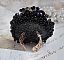 Bague Boule Frou-Frou avec des perles nacr&eacute;es, facettes et des cristaux de Swarovski 