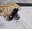 Bague Cl&eacute;op&acirc;tra brod&eacute;e avec une pierre de gemme : l'onyx Noir avec des cabochons ronds en forme de roses Noires, des rocailles Dor&eacute;es et des perles rondes facett&eacute;es aplaties sur une bague filigran&eacute;e 