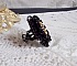 Bague Cl&eacute;op&acirc;tra brod&eacute;e avec une pierre de gemme : l'onyx Noir avec des cabochons ronds en forme de roses Noires, des rocailles Dor&eacute;es et des perles rondes facett&eacute;es aplaties sur une bague filigran&eacute;e 