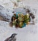 Bague C&eacute;zanne mont&eacute;e avec des petites fleurs lucites peintes &agrave; la main &agrave; laquelle s&rsquo;ajoute des feuilles, cristaux, perles, &eacute;tamines, grosses rocailles, perles nacr&eacute;es et m&eacute;tal sur une bague en Laiton