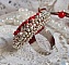 Bague Drigon Red brod&eacute;e avec un cabochon carr&eacute; Rouge sur une estampe Argent&eacute;e. Orn&eacute;e de chatons en Cristal puis model&eacute;e avec des rocailles et perles. Le tout est mont&eacute; sur une bague r&eacute;glable argent&eacute;e 