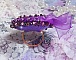Bague Lady Romantique brod&eacute;e sur une bague Dor&eacute;e avec un cabochon tissu lin coton vieux Rose brod&eacute; de fleurs et branches en rocailles et bord&eacute; d&rsquo;un ruban organza Violet pour une tendresse romantique
