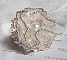 Bague Bouquet d'un Jour brod&eacute;e avec un cabochon rond de couleur Ivoire, fleurs de Lys entrelac&eacute;es avec des rocailles, toupies Cristal et Light Peach de qualit&eacute; AB2x sur une bague Argent&eacute;e en Laiton