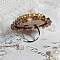 Bague Madame de Pompadour brod&eacute;e avec un cabochon repr&eacute;sentant une femme &agrave; laquelle s'ajoute des toupies, perles rondes nacr&eacute;es, rocailles aux couleurs Jaune et Marron sur bague Bronze en laiton