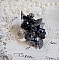 Bague Soir de Lune cr&eacute;&eacute;e avec des fleurs lucites Noires et Grises peintes &agrave; la main, cristaux, perles en r&eacute;sine, perles en verre et coupelle argent&eacute;e. Le tout est mont&eacute; sur une bague argent&eacute;e