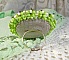 Bague Anisse brod&eacute;e d&rsquo;un cabochon r&eacute;sine repr&eacute;sentant une femme et des roses, orn&eacute;e de rocailles Vert Anis, Rose, Jaune Nacr&eacute; et Ivoire. Elle est finie avec des toupies et perles sur bague r&eacute;glable 