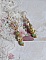 BO An&eacute;mone du Japon mont&eacute;es avec des perles en c&eacute;ramiques fleuries, perles aplaties facett&eacute;es en verre de boh&egrave;me couleur Tilleul, strass en Cristal AB, coupelles, calottes avec des crochets estampes 