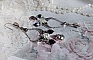 BO Bohochic argent&eacute;es et Noir cr&eacute;es avec des cabochons poire en cristal, breloque &eacute;poxy, poires en verre sur des crochets d'oreilles en argent 925