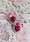 BO C&oelig;ur Ardent mont&eacute;es avec des dormeuses argent&eacute;es &agrave; laquelle s&rsquo;ajoute des c&oelig;urs paillet&eacute;s en r&eacute;sine Fuchsia. Ils sont orn&eacute;s d&rsquo;un bouquet de fleurs en verre &agrave; la couleur Rose pour un style romantique