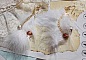 BO Douce Blanche aux plumes blanches, perles en plaqu&eacute; Or et Cuivre/Argent, crochets d'oreilles avec un cristal. Un look Am&eacute;rindien 