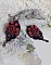 BO Midnight in Paris brod&eacute;es avec rondes nacr&eacute;es et rocailles verres, roses r&eacute;sines et perles Cristal Swarovski