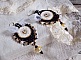 BO Noir Sacr&eacute; Haute Couture brod&eacute;es avec des cristaux : navette, toupies, perles rondes aplaties et rondes &agrave; laquelle s&rsquo;ajoute des perles en Verre et rocailles au couleurs vari&eacute;es