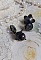 Boucles d'oreilles puces fleurs noires et perles scintillantes.