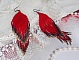 Boucles d'oreilles artisanales en perles rouges, bleues et dorées.