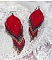 Boucles d'oreilles artisanales en perles rouges, bleues et dorées.