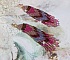 BO Explosion de Roses avec des rocailles en verre aux couleurs vari&eacute;es comme un arc en ciel floral &agrave; laquelle s&rsquo;ajoute des toupies en Cristal Rose et perles rondes facett&eacute;es Beiges