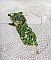 Bracelet Espoir vert brodé de perles et cristaux Swarovski.