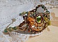 Bracelet artisanal brodé en soie et cristaux aux couleurs chaudes.