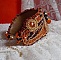 Bracelet Lady in Orange manchette Haute Couture brod&eacute; sur cuir avec cabochons en cristal, facettes, gouttes, perles nacr&eacute;es, rocailles aux couleurs Orange, Jaune, Or, Marron pour un style contemporain