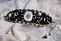 Bracelet Noir Sacr&eacute; Haute Couture brod&eacute; avec des cristaux : navette, h&eacute;lix Bead,, toupies, breloque fleur strass&eacute;e,  perles rondes nacr&eacute;es Verre et rocailles. Les couleurs sont le Noir, Blanc et Dor&eacute;