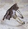 Bracelet Ombre Naviguant cr&eacute;&eacute;e avec du cuir de couleur Cognac, fleur en tissu, des accessoires de couleur Bronze, Cuivre, Noir avec des breloques