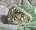 Bracelet S&eacute;duction Charme brod&eacute; avec un cabochon Fimo fait main repr&eacute;sentant une femme avec des fleurs orn&eacute; de perles Tilleul et Ivoire, s&rsquo;ajoute des toupies, chatons Jaune et rocailles