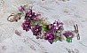 Bracelet Valentine Rose avec fleurs, perles et feuilles acryliques, gouttes, perles de gemme et bracelet argent&eacute; m&eacute;tal