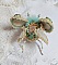 Broche insecte brodée de perles, sequins et cristaux Swarovski.