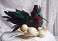 Le Colibri Thalassin cr&eacute;e enti&egrave;rement en porcelaine, des plumes de Coq et Fantaisies, des petites rocailles
