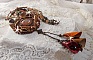 Collier Amber Romance avec un cabochon jaspe Picasso orn&eacute; de rocailles en verre, toupies de diff&eacute;rentes couleurs en cristal, perles de gemme Citrine, Agate et Jaspe Picasso. Mont&eacute;s sur du cuir