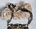 Plastron Cl&eacute;opatra brod&eacute; avec un onyx noir, perles et rocailles 