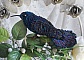Oiseau Mon Colibri est cr&eacute;e enti&egrave;rement en perles de rocailles, porcelaine et tissu