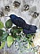 Oiseau Mon Colibri est cr&eacute;e enti&egrave;rement en perles de rocailles, porcelaine et tissu
