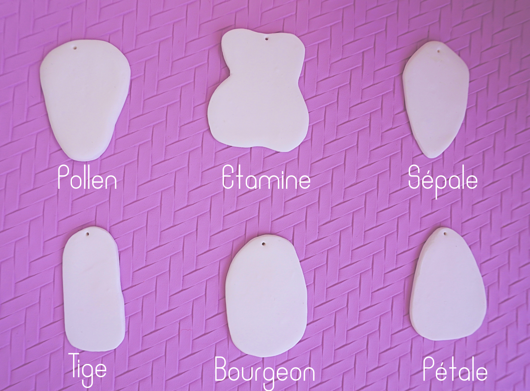 Boucles d'oreilles en argile polym&egrave;re P&eacute;tale