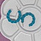 Cr&eacute;oles &agrave; torsades bleu turquoise